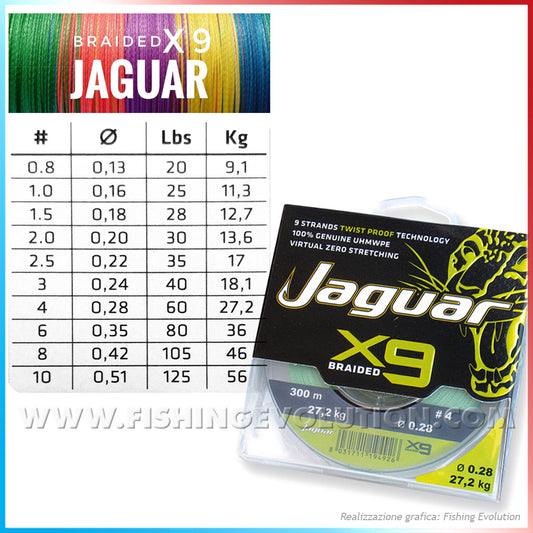 Jaguar Draided X9 300mt