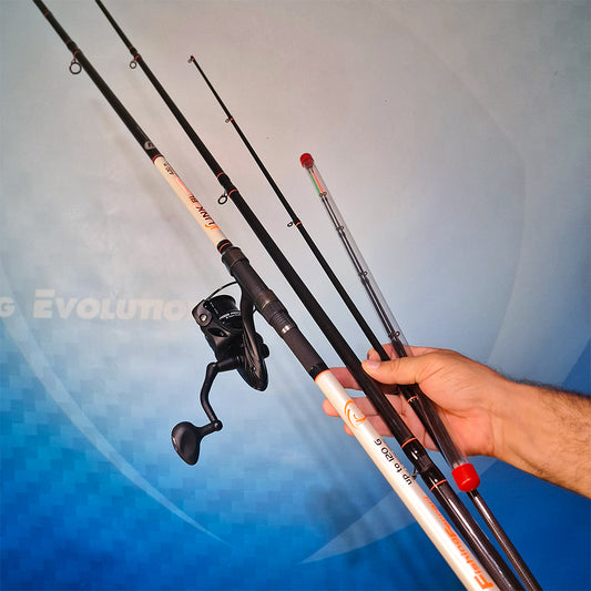 Combo Beach Ledgering Canna Lineaeffe Link BL + Mulinello Alcedo Pride Master Feeder