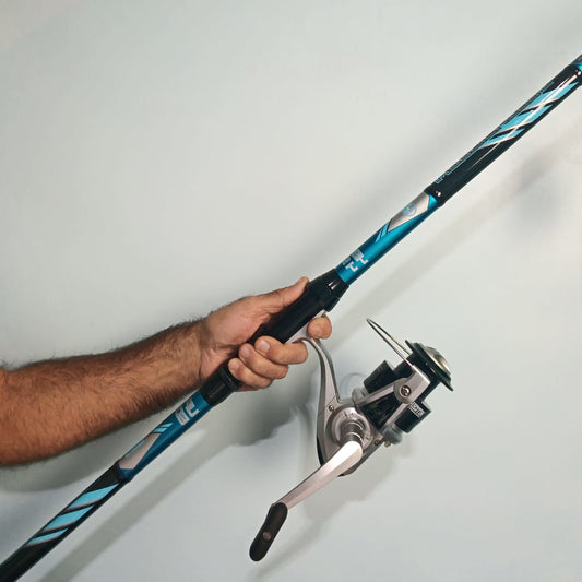 Combo SurfCasting, Storione, Teleferica. Warfighter + Mulinello Mitchell MX1 7000