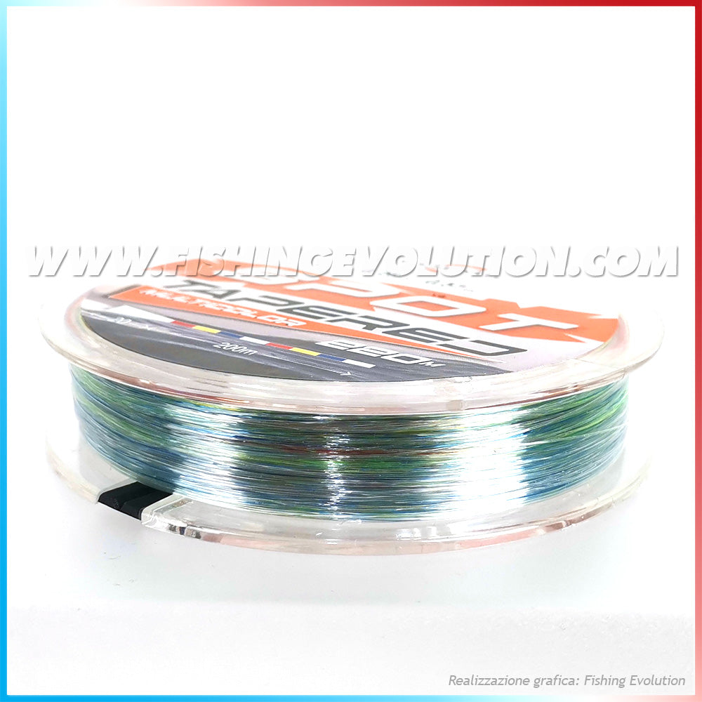 Spot- Multicolor Tapered Thread