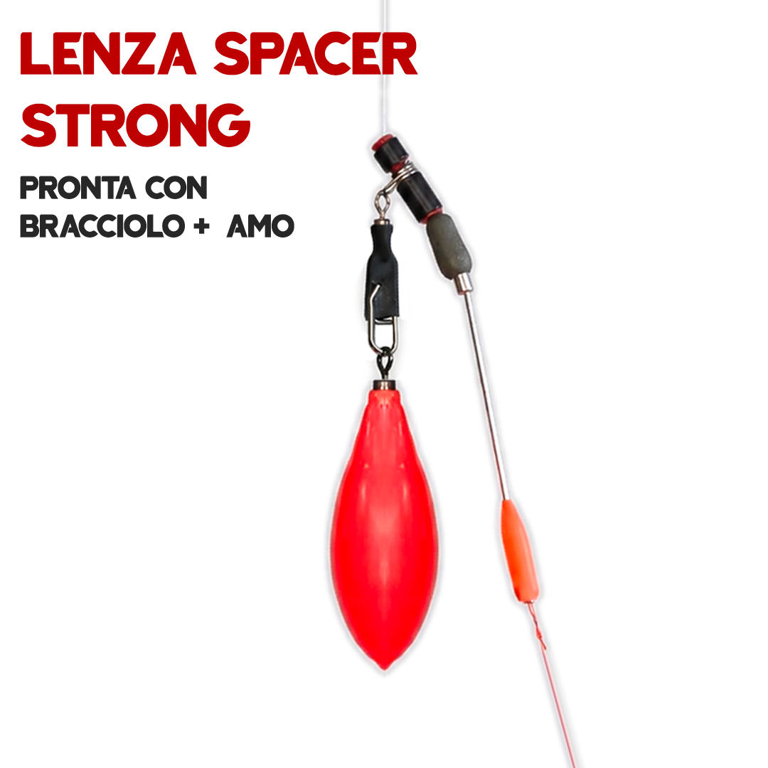 Lenza Antitangle Spacer e Spacer Strong