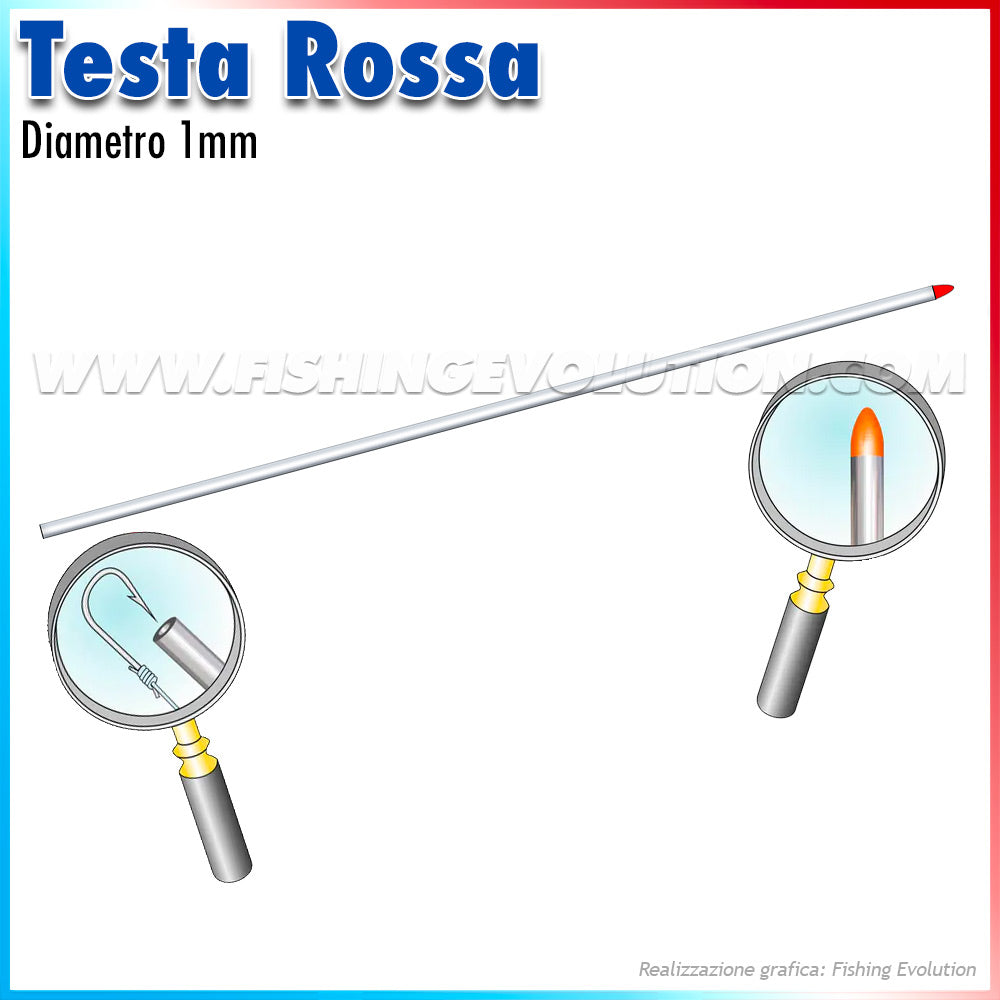 Aghi Testa Rossa Arenicola 40CM 5PZ – Nettuno Sport Trapani Aghi Testa Rossa Arenicola 40CM 5PZ – Nettuno Sport Trapani