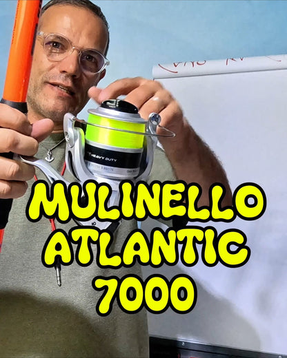 Combo Surfcasting Precision 4.10 + Mulinello Atlantic 7000