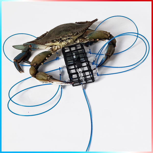 Generico Gabbietta Trappola Gabbia Pesca Granchi Granchio Blu Esca - Foto 2