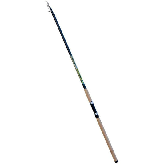 Lineaeffe Canna da Pesca Allway 4.20 m 70 g