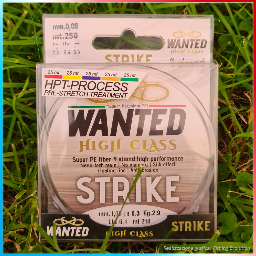 PE Wanted Strike 4X 250mt Multicolor (25mt x color)