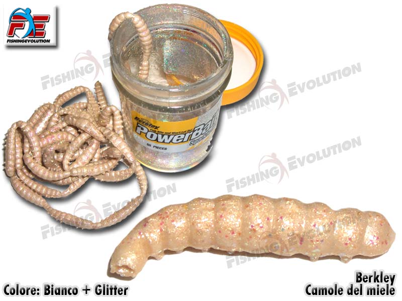 honey worm camola bianca 